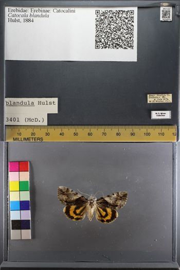 Media type: image;   Entomology 750918